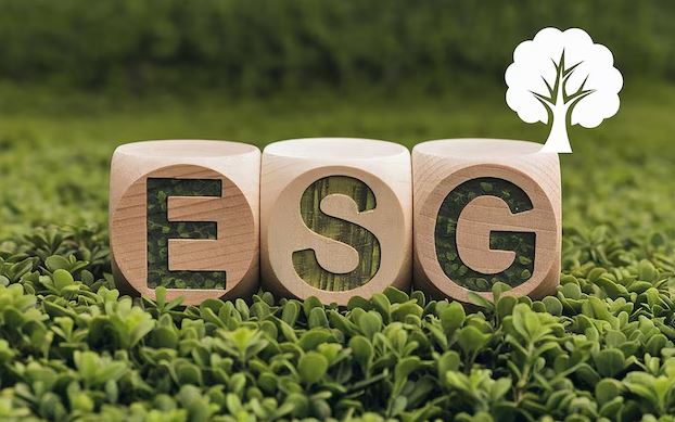 From ESG Strategy to Action